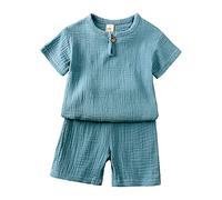 Boys t-Shirt Shorts Set Summer Outfit Kids Piece Dinosaur Monster Print top Short Sleeve Graphic tee Crew Neck Stylish Letter Pattern Daywear Merchandise Gift Light Blue