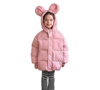 Boys Winter Coat Girls Coat Medium Weight Puffy with Cute Ears Hood Multiple Colors 5t Girl Warm Jacket Puffer Jacket (Pink, 3-4 Years)