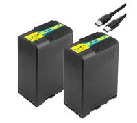 BP-U100 BP-U90 Battery Charging，Compatible For Sony Camera，For EX260 EX280 Z280 FS5 7 FX6 Z190 EX1R EX200 BP-U30 U60 U70 U90(2 Battery)