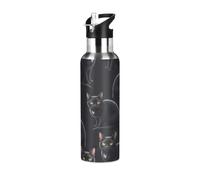 BPA-Free Sports Water Bottle with Straw 32 Oz, Insulated Stainless Steel Water Bottle with Straw for Gym Outdoor Travel School, Black Cats Yellow Eyes