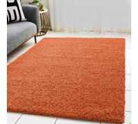 BPIL Living Room Rugs - 5cm Extra Thick Shaggy Rug - Soft Plain Area Rug, Luxurious Modern Carpet for Hall, Bedroom, Kitchen (Orange, 60x110cm)