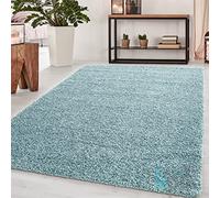 BPIL Living Room Rugs - 5cm Extra Thick Shaggy Rug - Soft Plain Area Rug, Luxurious Modern Carpet for Hall, Bedroom, Kitchen (Duck Egg 60x110cm)