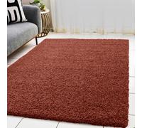 BPIL Living Room Rugs - 5cm Extra Thick Shaggy Rug - Soft Plain Area Rug, Luxurious Modern Carpet for Hall, Bedroom, Kitchen (Terracotta, 80x150cm)