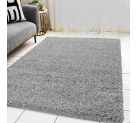 BPIL Living Room Rugs - 5cm Extra Thick Shaggy Rug - Soft Plain Area Rug, Luxurious Modern Carpet for Hall, Bedroom, Kitchen (Silver, 120x170cm)