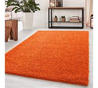 BPIL Shaggy Rugs Soft plain Thick Pile Large Small Antiskid Area Rug (Orange, 120X170CM)