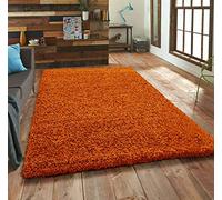 BPIL Unique Modern Large Small Non-Shedding Shaggy Rugs Soft Thick Pile Rectangle Orange Color Rug (60x110cm)