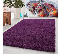 BPIL Unique Modern Large Small Non-Shedding Shaggy Rugs Soft Thick Pile Rectangle Purple Color Rug (60x110cm)
