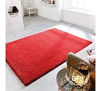 BPIL Unique Modern Large Small Non-Shedding Shaggy Rugs Soft Thick Pile Rectangle Red Color Rug (120x170cm)