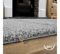 BPIL Unique Modern Large Small Non-Shedding Shaggy Rugs Soft Thick Pile Rectangle Silver Color Rug (60x110cm)