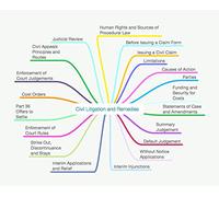 BPTC CIVIL LITIGATION MIND MAPS