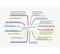 BPTC CRIMINAL LITIGATION & SENTENCING MIND MAPS