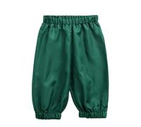 BPURB Boys 18th Century Colonial Costume Shorts Pants Knicker Size 7 8 10 12 14 16(Green, M)