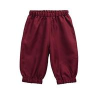BPURB Boys 18th Century Colonial Costume Shorts Pants Knicker Size 7 8 10 12 14 16(Wine red, S)