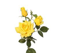 BQEE 3pcs Artificial Rose Flowers Long Stem Silk 3 Heads Roses for DIY Wedding Bouquet Home Decor (Yellow)