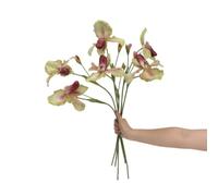 BQEE Artificial Lady Slipper Orchid Stems PU Tropical Faux Orchid Spray 26 Inches Real Touch Orchid for Home Wedding Decoration 2 Pack (Orchid Light Green)