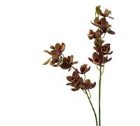 BQEE Artificial Orchid Stems, 8-Head Real Touch Cymbidium Orchid, 70cm/27.6in Tall, Faux Floral Stems for Home, Wedding, Office Décor, 2-Pack (Coffee)