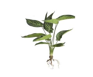 BQEE Landscape Architecture Decoration Green Plants Fake Colored Maranta arundinacea L. Leaves with Roots Artificial Arrowroot Room Office Desk Home Indoor Decor (12 Patterned Bamboo Taro)