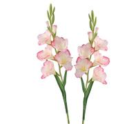 BQEE Long Stem Artificial Gladiolus Flower, Set of 2, Home/Wedding/Office Decor (Coral Pink)
