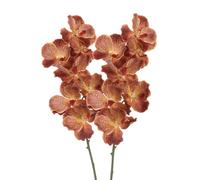 BQEE Real Touch Vanda Orchid Stems, 2 Pcs 7-Head Faux Butterfly Orchids 80cm/31.5", Moist Soft Artificial Flowers for Wedding Bouquets, Bridal Arrangements, Home Decor (Brown)