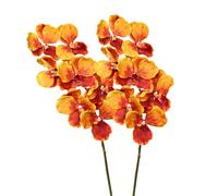 BQEE Real Touch Vanda Orchid Stems, 2 Pcs 7-Head Faux Butterfly Orchids 80cm/31.5", Moist Soft Artificial Flowers for Wedding Bouquets, Bridal Arrangements, Home Decor (Orange)