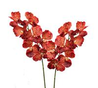 BQEE Real Touch Vanda Orchid Stems, 2 Pcs 7-Head Faux Butterfly Orchids 80cm/31.5", Moist Soft Artificial Flowers for Wedding Bouquets, Bridal Arrangements, Home Decor (Salmon)