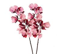 BQEE Real Touch Vanda Orchid Stems, 2 Pcs 7-Head Faux Butterfly Orchids 80cm/31.5", Moist Soft Artificial Flowers for Wedding Bouquets, Bridal Arrangements, Home Decor (Two-Color Powder)