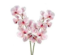 BQEE Real Touch Vanda Orchid Stems, 2 Pcs 7-Head Faux Butterfly Orchids 80cm/31.5", Moist Soft Artificial Flowers for Wedding Bouquets, Bridal Arrangements, Home Decor (Light Pink)