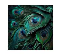 BQUWR Colorful Peacock Feathers Canvas Poster Wall Art Print Picture Paintings 16x16inch(40x40cm)