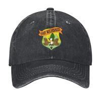 BQWRUUYM Fort Wilderness Distressed The Cartoon Chip N Dale Rangers Casual Baseball Cap