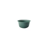 Brabantia 122248 Tasty+ Mixing Bowl, Fir Green, 3.2 L