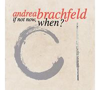 Brachfeld, Andrea - If Not Now, When?
