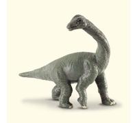 Brachiosaurus Baby