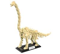 Brachiosaurus Dinosaur Skeleton Building Blocks Set, 501 PCS Jurassic Science Tyrannosaurus Rex Dino Bone Building Toys for Home Decor & Office, Prehistoric Fossil Model Kit for Adults & Teens