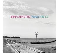 Brad Shepik Trio - Places You Go