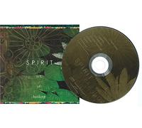 Brad White - Spirit: The Art of Healing (UK Import)