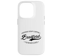 Bradford Tennessee TN Doodle Soup Capital for Men and Women Case for iPhone 14 Pro