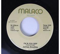 Bradley, James - James Bradley [VINYL]