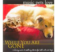 BRADLEY JOSEPH - Music Pets Love: While You Are Gone