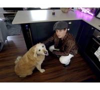 Bradley Simpson, Caprice, Perri and Mike