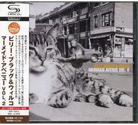 Bragg, Billy - Mermaid Avenue Vol 2