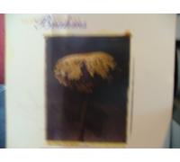 Brahms: Clarinet Sonatas