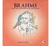 J. Brahms - Es Ist Ein Ros Entsprungen for Organ