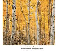 Brahms - Intermezzo: Music for You