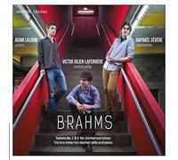 Brahms, J. - Brahms: Sonata No. 1 & 2 For Clarinet And Piano/...