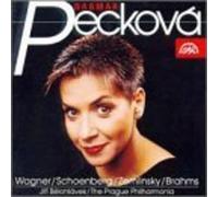 Brahms/Schoenberg/Wagner/Zemlinsky: Orchestral Songs