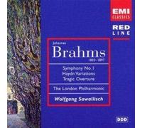 Brahms: Symphony No.1/Variations