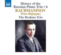 BRAHMS TRIO: HISTORY OF THE RUSSIAN PNO TRIO VOL. 6/TRIOS - CD