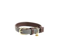 Braided nylon dog collar Kentucky