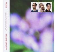 Braids Shadow Offering (Vinyl) 12" Album (US IMPORT)