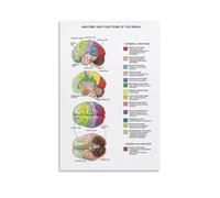 Brain Anatomy And Functional Medicine Teaching Poster Vintage Posters, Wall Art, Canvas Posters, Room Decoration Aesthetic Posters, Printed Decoration Posters, Living Room Porch Decoration Paintings,